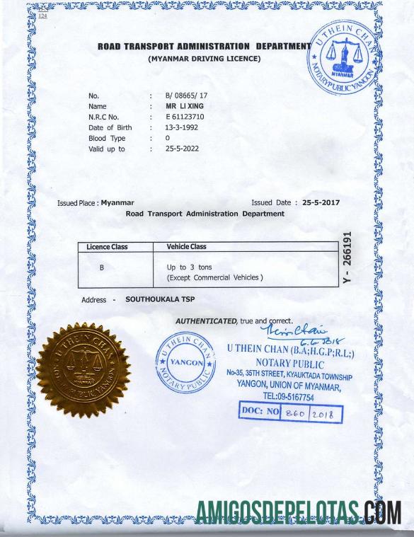 Carteira de motorista de Mianmar GRATUITA exemplo real